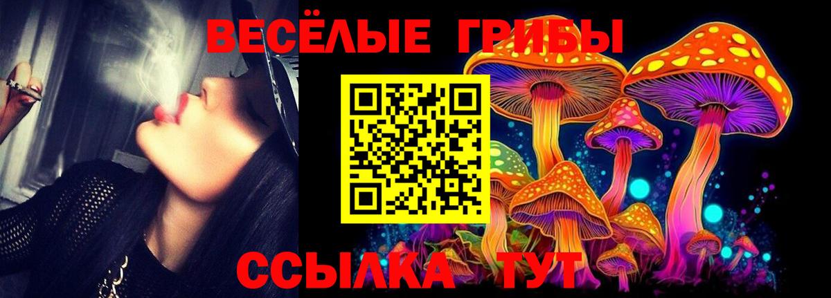 Псилоцибиновые грибы MAGIC MUSHROOMS Заинск